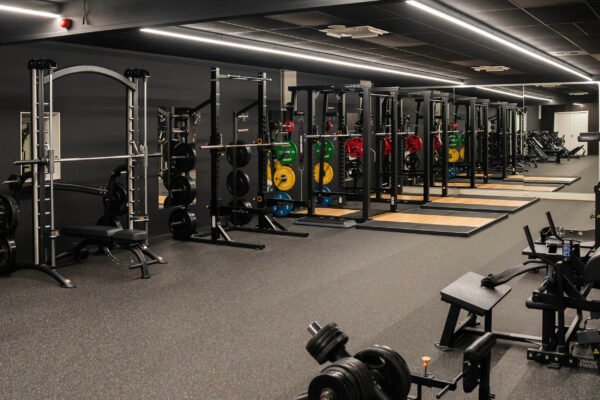 Fitness_EvolveGym (3)